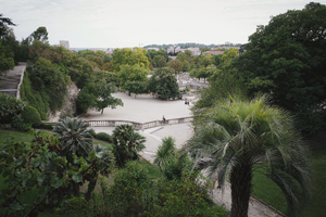 Traitement punaises de lit Nîmes